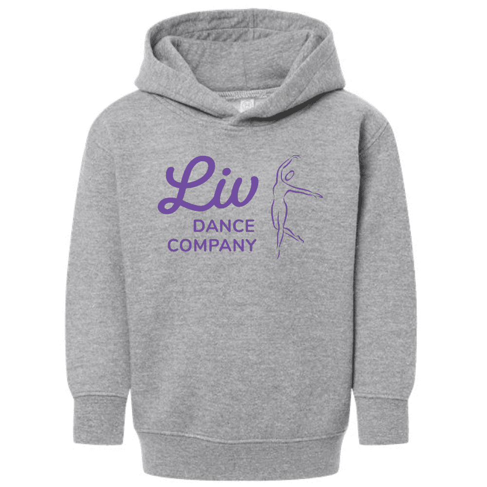 3326 Rabbit Skins Toddler Fleece Pullover Hoodie - Heather