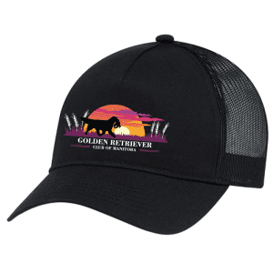 5970L AJM Polyester/Polycotton 5 Panel Pony Tail Cap - Black