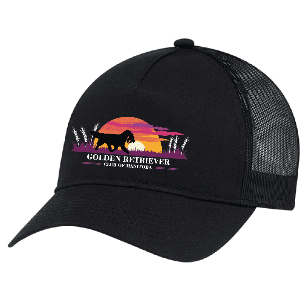 5970L AJM Polyester/Polycotton 5 Panel Pony Tail Cap - Black
